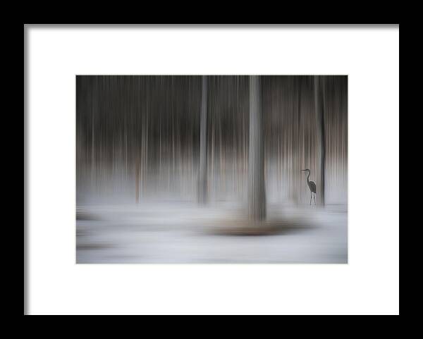 Winter Framed Print featuring the photograph The Winter Warming by Robin Webster