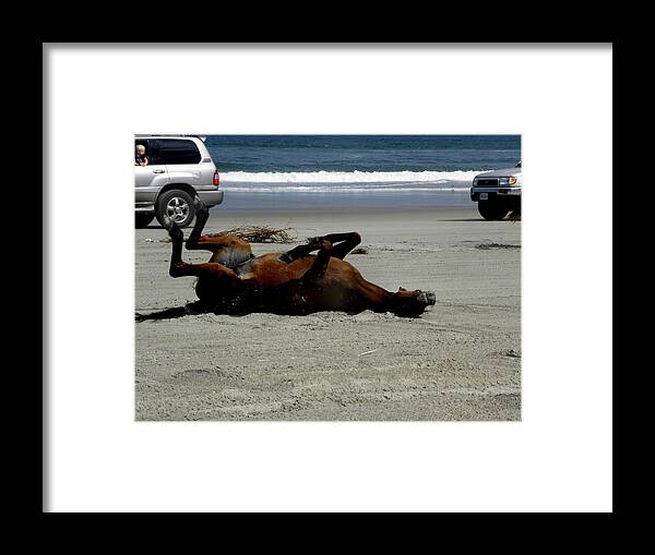 Wild Framed Print featuring the photograph This Is So Much Fun by Kim Galluzzo
