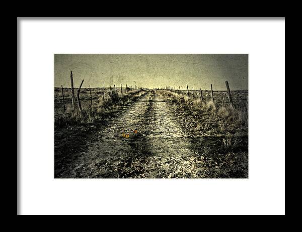 Country Framed Print featuring the photograph Three Flower Road by Mark Ross