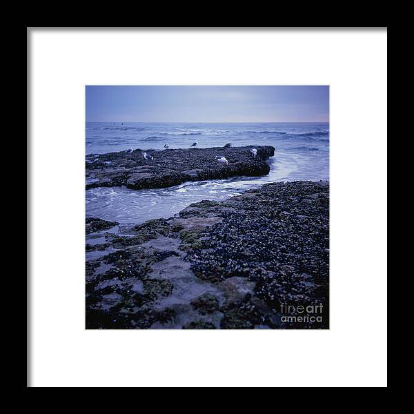 Sunset Framed Print featuring the photograph Tidal Birds by Daniel Knighton