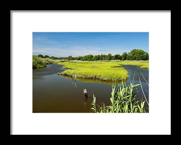 Wetlands Framed Print featuring the photograph Tidal Wetland by Cathy Kovarik
