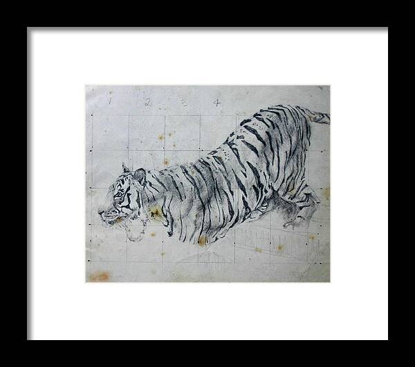 Drawings Animals Big Cats Tiger Framed Print featuring the painting Tiger study by Tom Smith