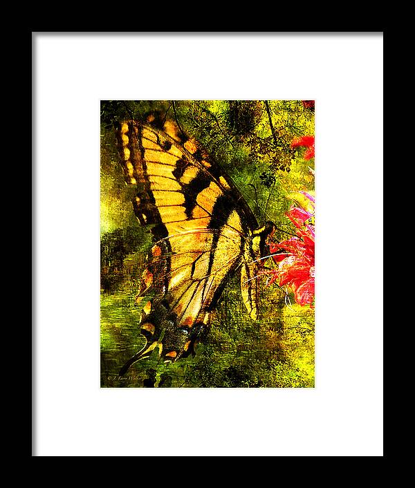 J Larry Walker Framed Print featuring the digital art Tiger Swallowtail Butterfly Happily Feeds by J Larry Walker