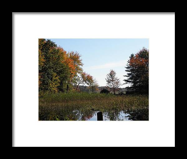 Autumn Framed Print featuring the photograph To See Autumn Colors Forever by Kim Galluzzo Wozniak