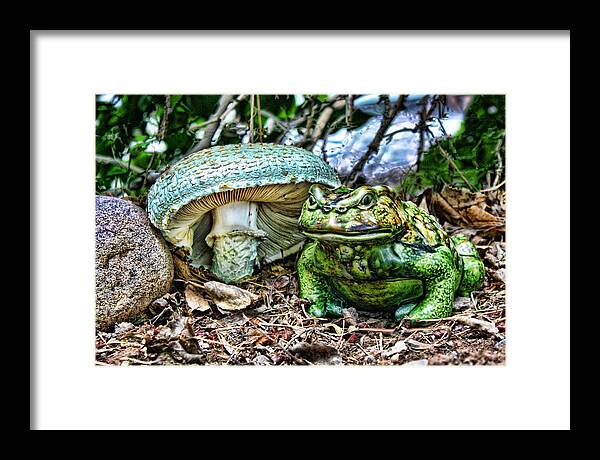 Frog Framed Print featuring the photograph Toadstool Umbrella by Rick Wicker