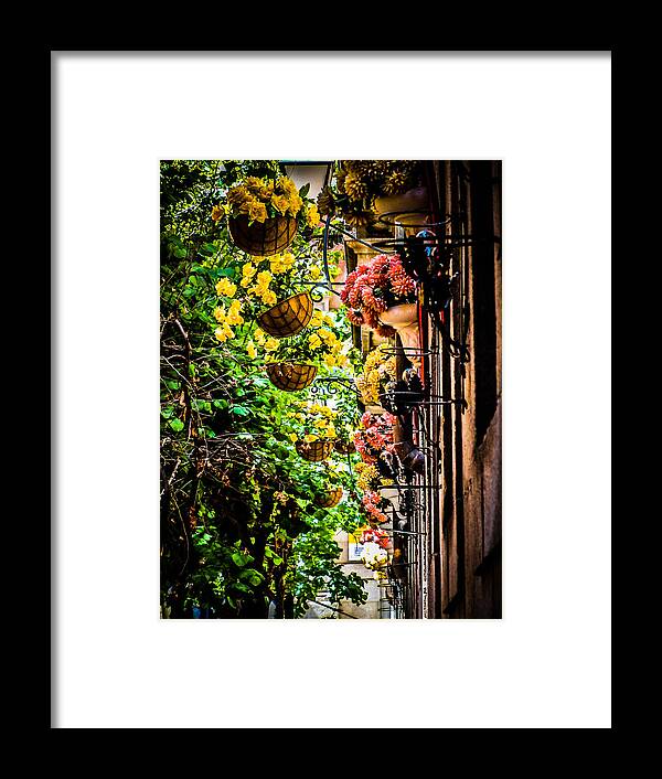 Spain Framed Print featuring the photograph Toledo Flowers by Raf Winterpacht