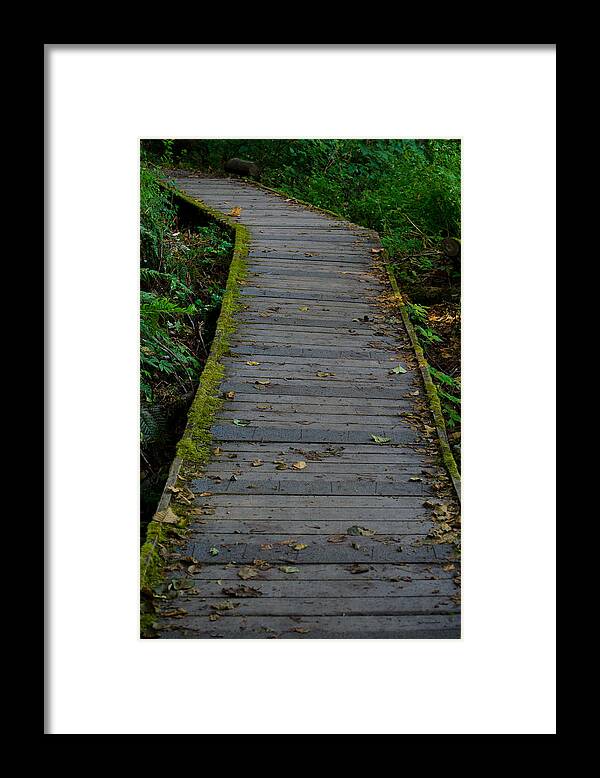 Walk Framed Print featuring the photograph Tolmie Walkway by Tikvah's Hope
