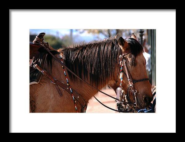 Horse Photo Framed Print featuring the photograph Tombstone Horse by Anthony Citro