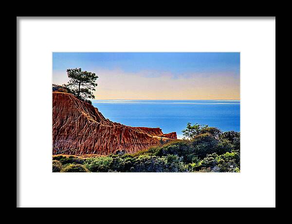 Torrey Pine State Reserve Framed Print featuring the photograph Torrey Pine Look Out by Russ Harris