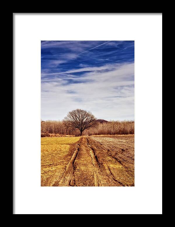 Tree Framed Print featuring the photograph Towards The Tree by Bill and Linda Tiepelman