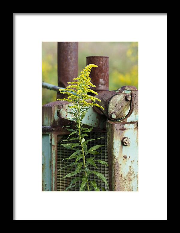 Yellow Framed Print featuring the photograph Tractor by Carrie Cranwill