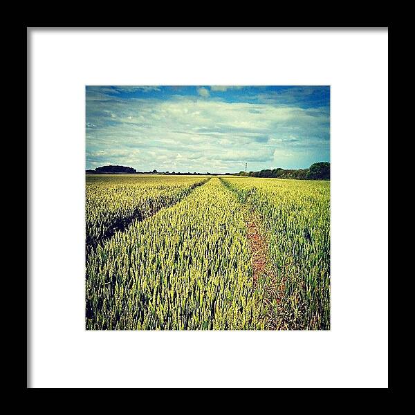Landscape Framed Print featuring the photograph Tractor Tracks by Vicki Field