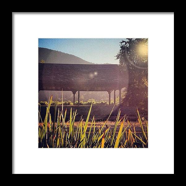 Instagram Framed Print featuring the photograph #train #napa #station #instahub by Erik Merkow
