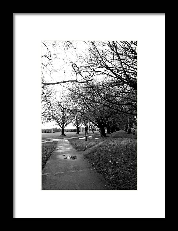 Pathway Framed Print featuring the photograph Tree and Pathway 4 of 6 by Roseanne Jones