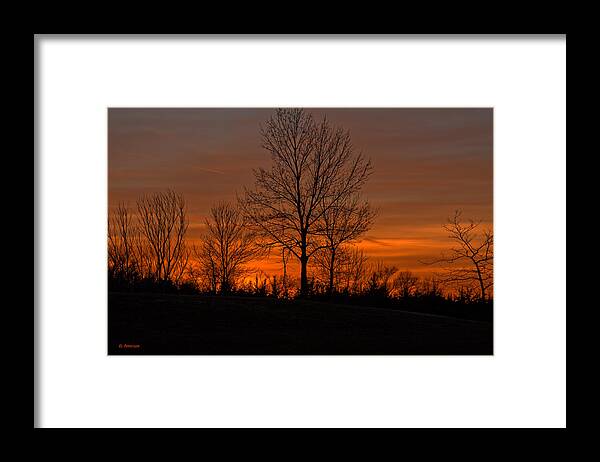 Sunset Framed Print featuring the photograph Tree At Sunset by Ed Peterson