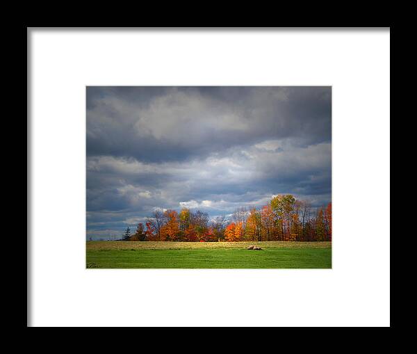 Landscape Framed Print featuring the photograph Tree Line on sunset Hill in New Hampshire by Nancy Griswold