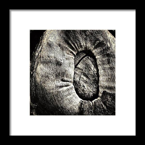 Butthead Framed Print featuring the photograph #tree #wood (insert #beavis And by Brian Adams