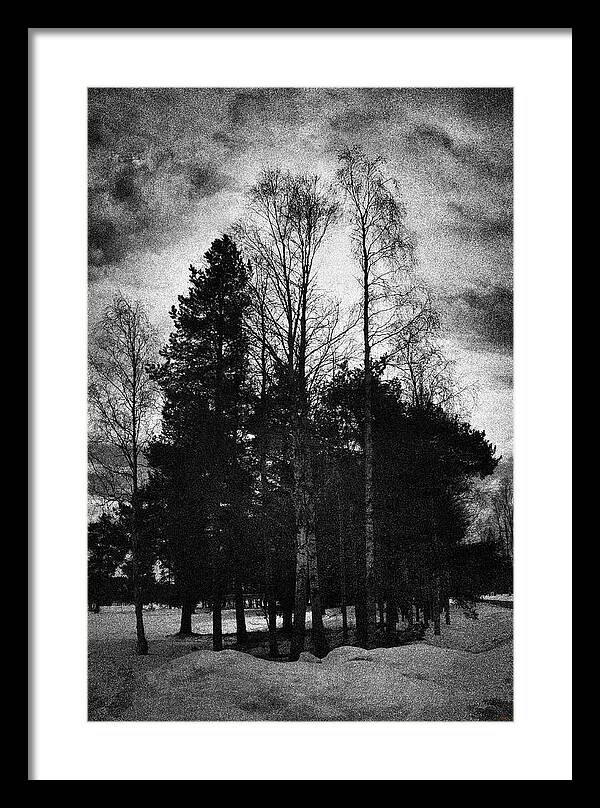 Winter 2012 Framed Print featuring the photograph Trees in winter by SM Shahrokni