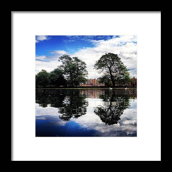 Irox_water Framed Print featuring the photograph #treestyles_gf by Sarah Drummond