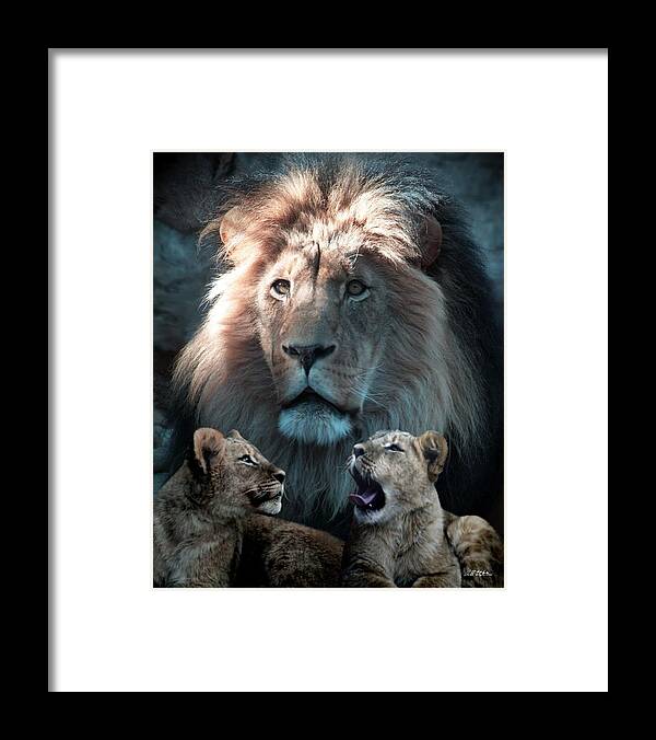 Lions Framed Print featuring the photograph Tribute To An Old Friend by Bill Stephens