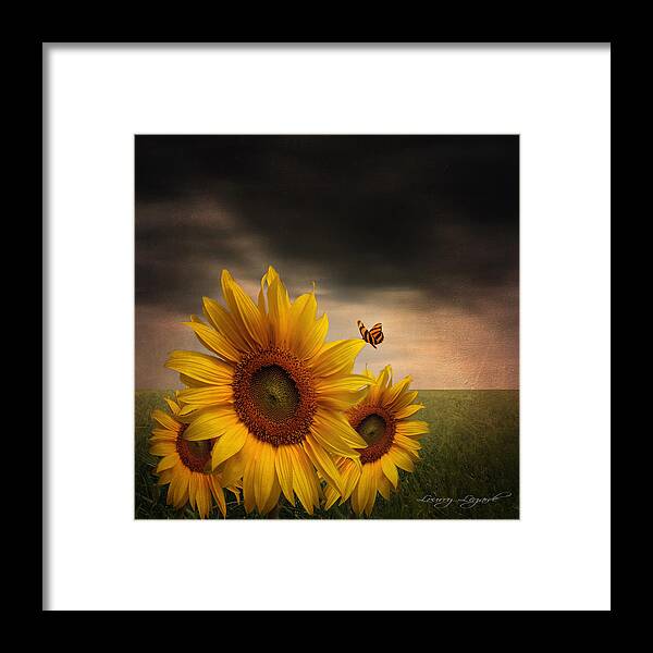 Sunflower Framed Print featuring the photograph Trinity by Lourry Legarde