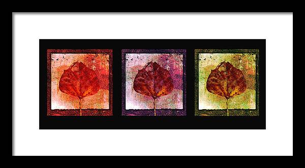 Leaves Framed Print featuring the mixed media Triptych Leaves by Ann Powell