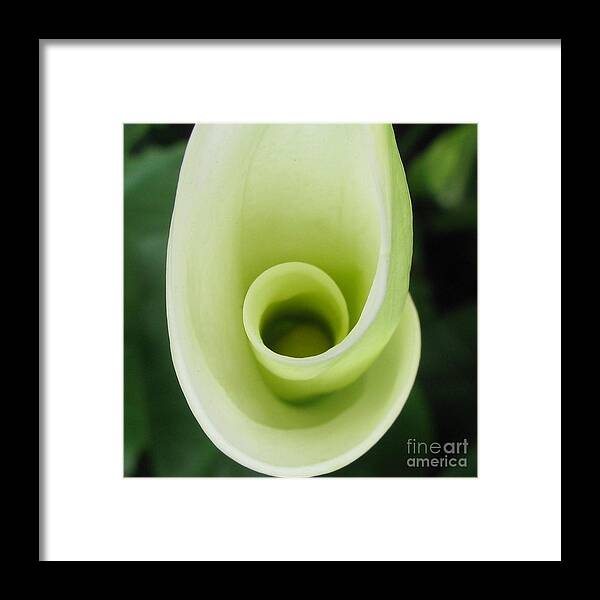 Flower Framed Print featuring the photograph Triumph by Holy Hands