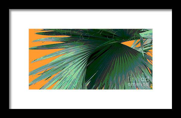 Palm Framed Print featuring the photograph Tropical Palm Grand Cayman by Ann Powell