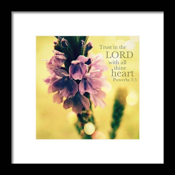 Godisgood Framed Print featuring the photograph trust In The Lord With All Thine by Traci Beeson