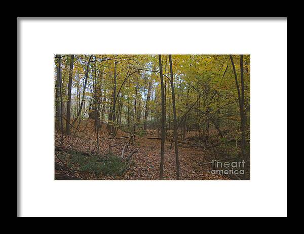 Tryon Park Framed Print featuring the photograph Tryon Park by William Norton