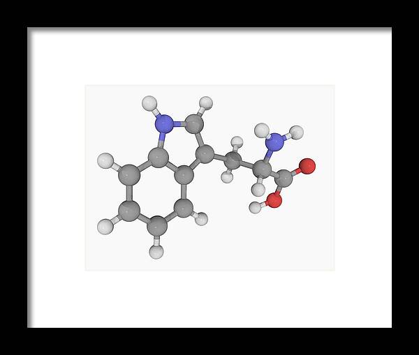 Square Framed Print featuring the digital art Tryptophan Molecule by Laguna Design
