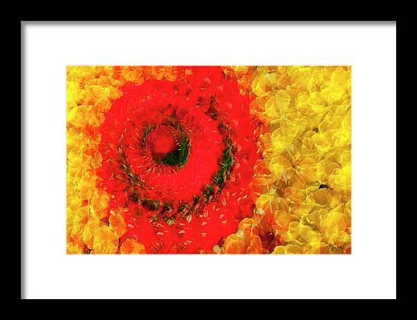 Tulips Framed Print featuring the photograph Tulips Spiral L646 by Yoshiki Nakamura