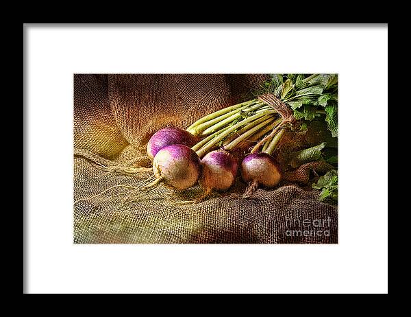 Turnips Framed Print featuring the photograph Turnips by Sari Sauls