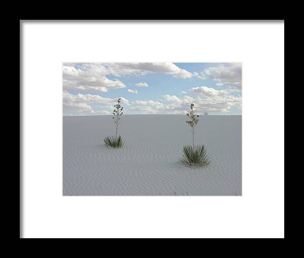 Yucca Framed Print featuring the photograph Two Yuccas by Keith Stokes