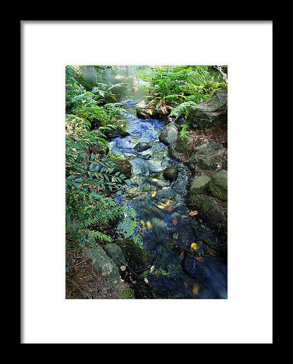 Japanese Framed Print featuring the photograph Unattached by Lynn Wohlers