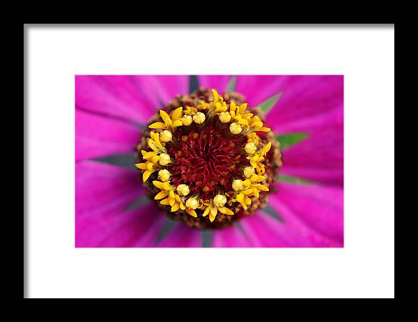 Nature Framed Print featuring the photograph Unforgettable... by Melanie Moraga