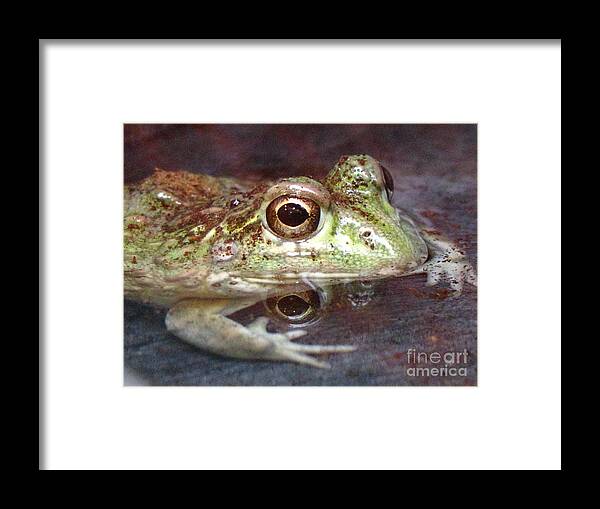 Flower Framed Print featuring the photograph Unhurried by Holy Hands