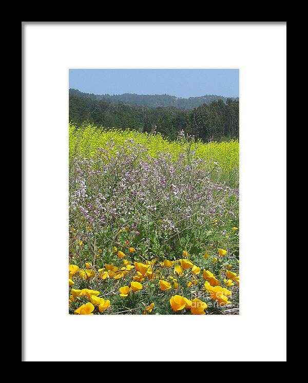 Flower Framed Print featuring the photograph Unification by Holy Hands