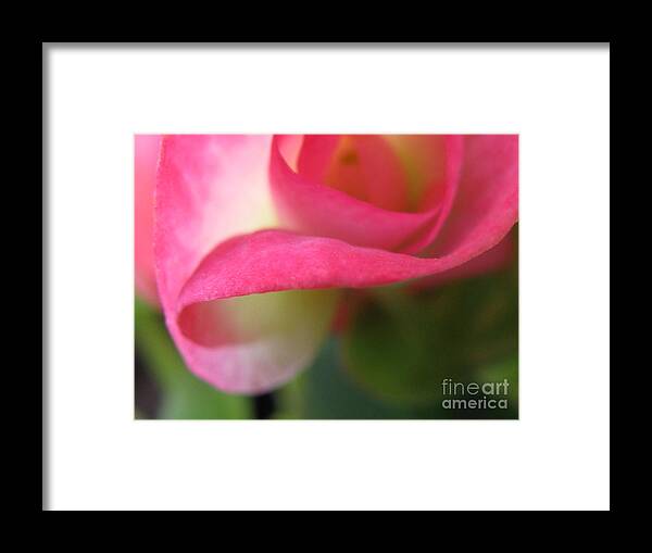 Flower Framed Print featuring the photograph Unintended by Holy Hands