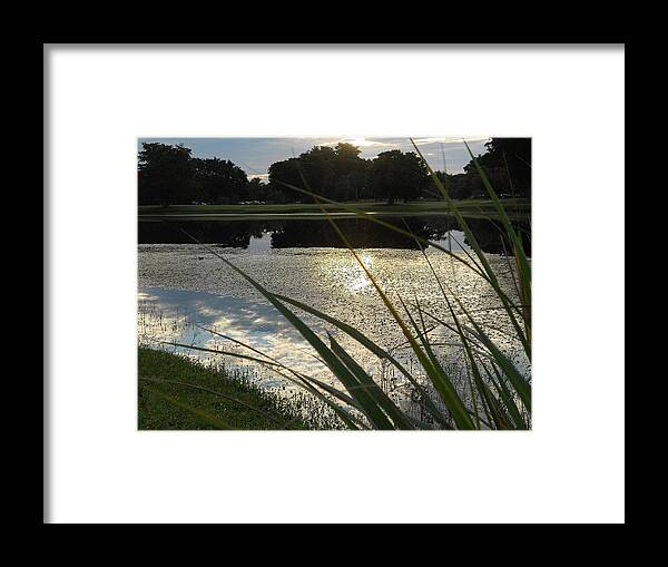 Nature Framed Print featuring the photograph Unspoken by Sheila Silverstein