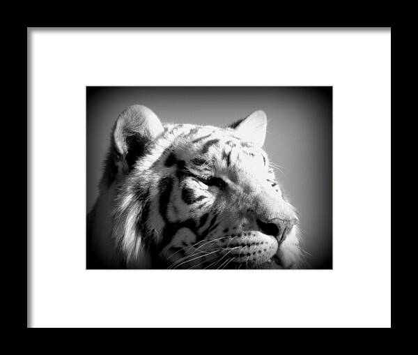 Black Framed Print featuring the photograph Up Close by Kim Galluzzo