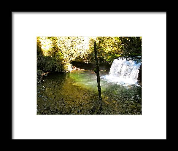 Plunge Framed Print featuring the photograph Upper Butte Creek Falls and Plunge Pool by Linda Hutchins