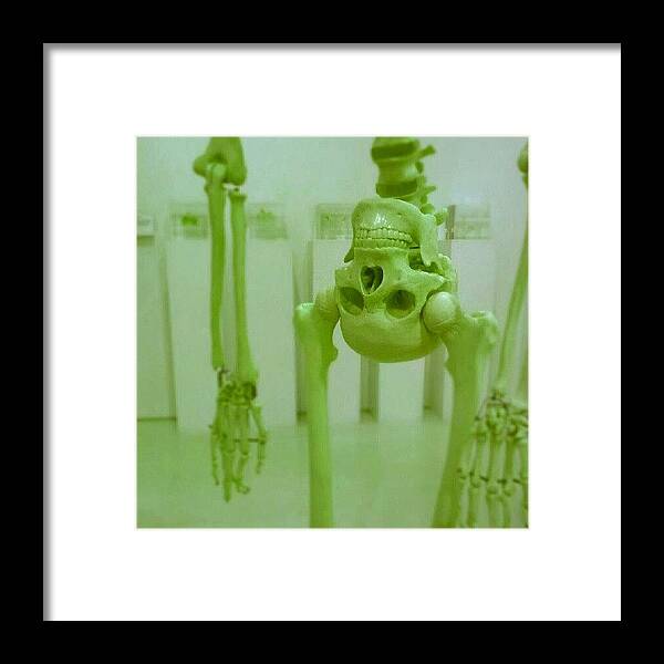 Upsidedown Framed Print featuring the photograph #upsidedown #skull #anatomy #instagram by Nadia Mogilev