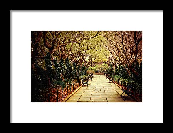 Spring Framed Print featuring the photograph Urban Forest Primeval - Central Park Conservatory Garden in the Spring by Vivienne Gucwa