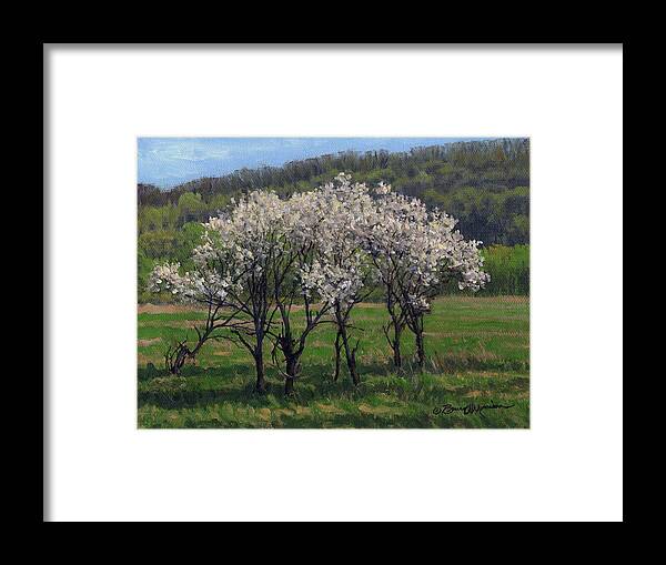 Landscape Framed Print featuring the painting Valley Plum Thicket by Bruce Morrison