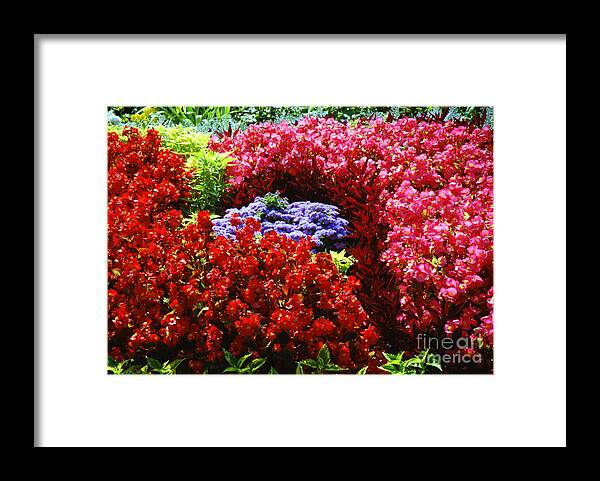 Landscape Framed Print featuring the photograph Versailles Garden Flowers by Donna L Munro