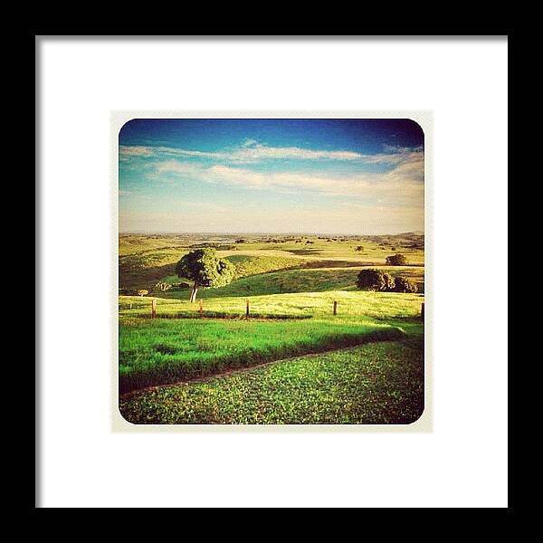 Earlybirding Framed Print featuring the photograph View Of The Field 🐎💛💚💙 by Roberta Robedeau