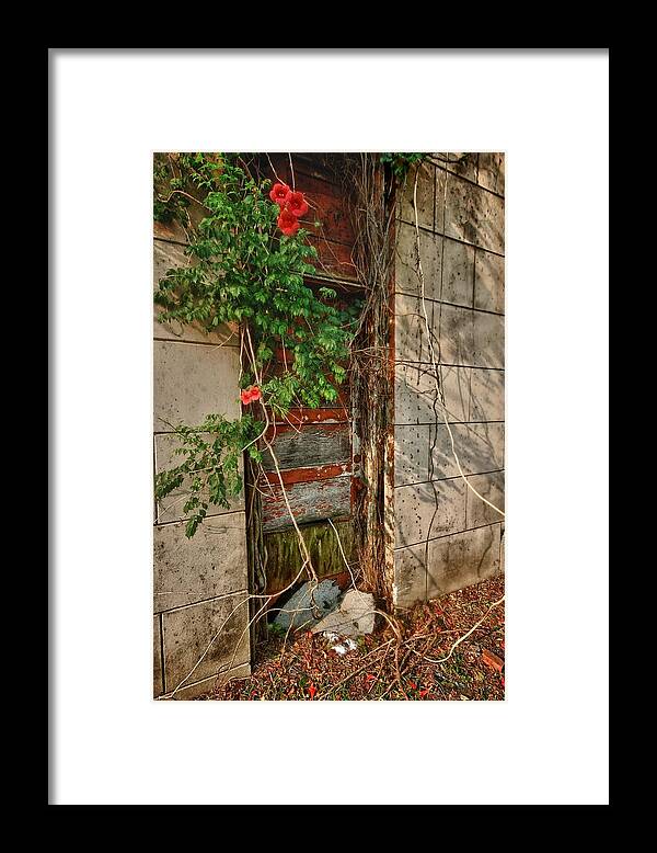 Alabama Photographer Framed Print featuring the digital art Vine Covered Door by Michael Thomas