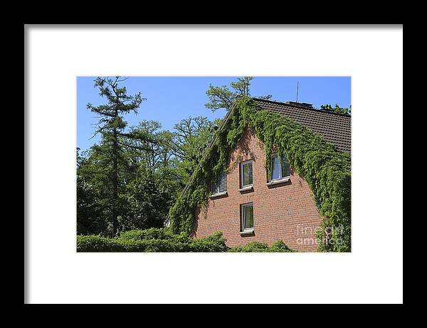 Vine Framed Print featuring the photograph Vine Covered by Teresa Zieba