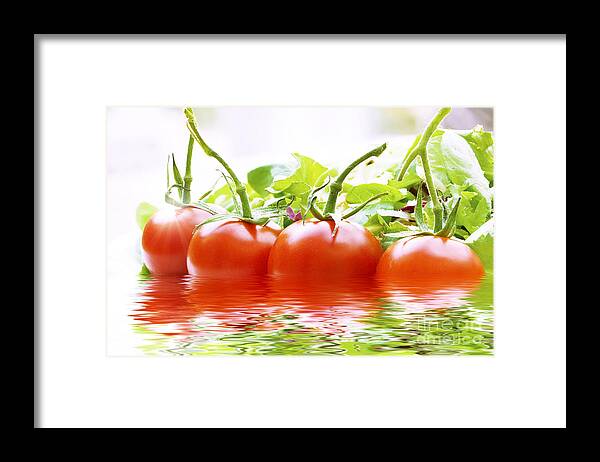 Food Framed Print featuring the photograph Vine tomatoes and salad with water by Simon Bratt
